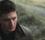SPN_1024.jpg