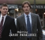 SPN_0147.jpg