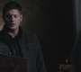 SPN_0981.jpg