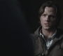 SPN_0982.jpg