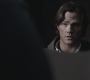 SPN_0985.jpg