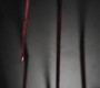 SPN_1116.jpg