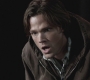 Filename=SPN_1153.jpg
Filesize=81KiB
Dimensions=1280x720
Date added=Sep 29, 2021 SPN_1153.jpg