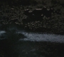 SPN_0675.jpg