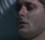 SPN_1078.jpg