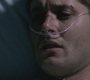 SPN_1100.jpg
