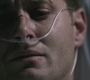 SPN_1111.jpg