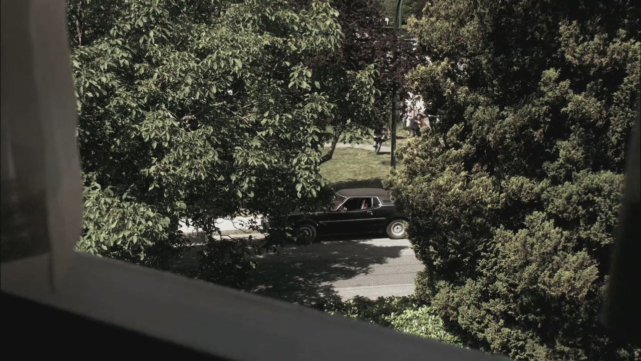 SPN_0932.jpg