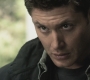 SPN_0136.jpg