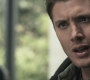 SPN_0139.jpg