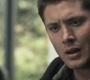 SPN_0141.jpg