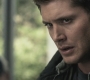 SPN_0143.jpg