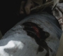 SPN_0174.jpg