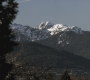 SPN_0206.jpg