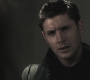 Filename=SPN_0332.jpg
Filesize=53KiB
Dimensions=1280x720
Date added=Sep 29, 2021 SPN_0332.jpg