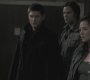 Filename=SPN_0365.jpg
Filesize=72KiB
Dimensions=1280x720
Date added=Sep 29, 2021 SPN_0365.jpg