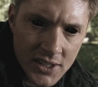 Filename=SPN_0908.jpg
Filesize=83KiB
Dimensions=1280x720
Date added=Sep 29, 2021 SPN_0908.jpg