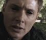 Filename=SPN_0914.jpg
Filesize=81KiB
Dimensions=1280x720
Date added=Sep 29, 2021 SPN_0914.jpg