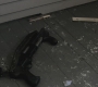 Filename=SPN_0917.jpg
Filesize=95KiB
Dimensions=1280x720
Date added=Sep 29, 2021 SPN_0917.jpg