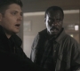 Filename=SPN_0939.jpg
Filesize=70KiB
Dimensions=1280x720
Date added=Sep 29, 2021 SPN_0939.jpg