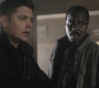 Filename=SPN_0941.jpg
Filesize=63KiB
Dimensions=1280x720
Date added=Sep 29, 2021 SPN_0941.jpg