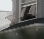 Filename=SPN_0963.jpg
Filesize=128KiB
Dimensions=1280x720
Date added=Sep 29, 2021 SPN_0963.jpg