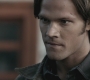 Filename=SPN_1017.jpg
Filesize=78KiB
Dimensions=1280x720
Date added=Sep 29, 2021 SPN_1017.jpg