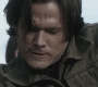 Filename=SPN_1019.jpg
Filesize=98KiB
Dimensions=1280x720
Date added=Sep 29, 2021 SPN_1019.jpg
