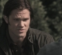 Filename=SPN_1058.jpg
Filesize=72KiB
Dimensions=1280x720
Date added=Sep 29, 2021 SPN_1058.jpg