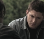 Filename=SPN_1060.jpg
Filesize=84KiB
Dimensions=1280x720
Date added=Sep 29, 2021 SPN_1060.jpg