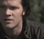 Filename=SPN_1073.jpg
Filesize=75KiB
Dimensions=1280x720
Date added=Sep 29, 2021 SPN_1073.jpg