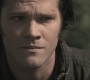 Filename=SPN_1093.jpg
Filesize=75KiB
Dimensions=1280x720
Date added=Sep 29, 2021 SPN_1093.jpg