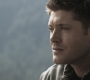 Filename=SPN_1098.jpg
Filesize=86KiB
Dimensions=1280x720
Date added=Sep 29, 2021 SPN_1098.jpg