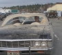 SPN_0486.jpg