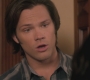 Filename=SPN_0768.jpg
Filesize=54KiB
Dimensions=1280x720
Date added=Sep 30, 2021 SPN_0768.jpg