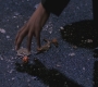 Filename=SPN_1477.jpg
Filesize=166KiB
Dimensions=1280x720
Date added=Sep 30, 2021 SPN_1477.jpg