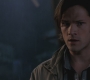 Filename=SPN_1567.jpg
Filesize=47KiB
Dimensions=1280x720
Date added=Sep 30, 2021 SPN_1567.jpg