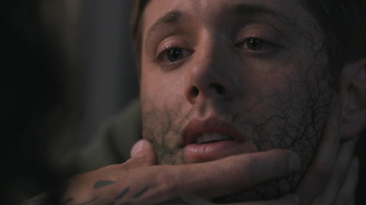 SPN_1111.jpg