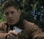 SPN_0281.jpg