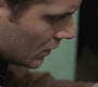 SPN_0319.jpg