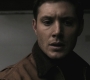 SPN_0396.jpg