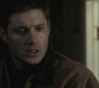 SPN_0429.jpg