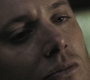 SPN_0441.jpg