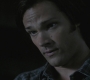 SPN_0495.jpg