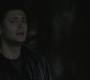 SPN_0510.jpg