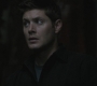 SPN_0595.jpg