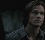 SPN_0649.jpg