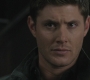 SPN_0780.jpg