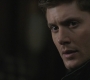 SPN_0782.jpg