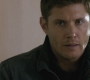 SPN_0975.jpg